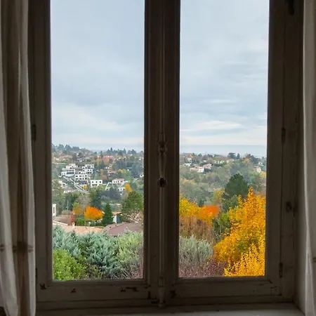 La Croix Des Rameaux- Charming House Near Lyon Apartment